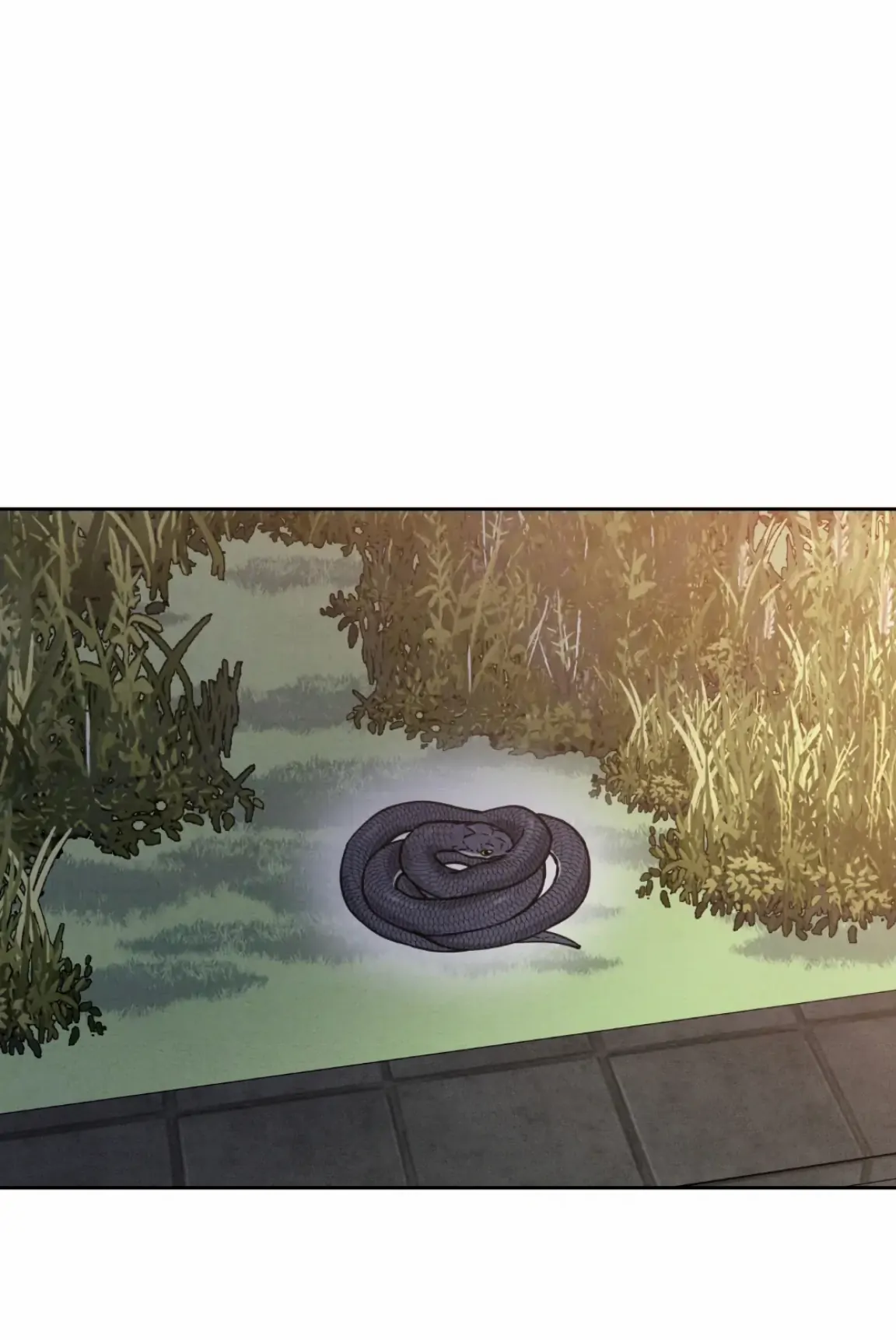 I Picked Up a Snake on My Way Home From Work - Chapter 1 - Page 13
