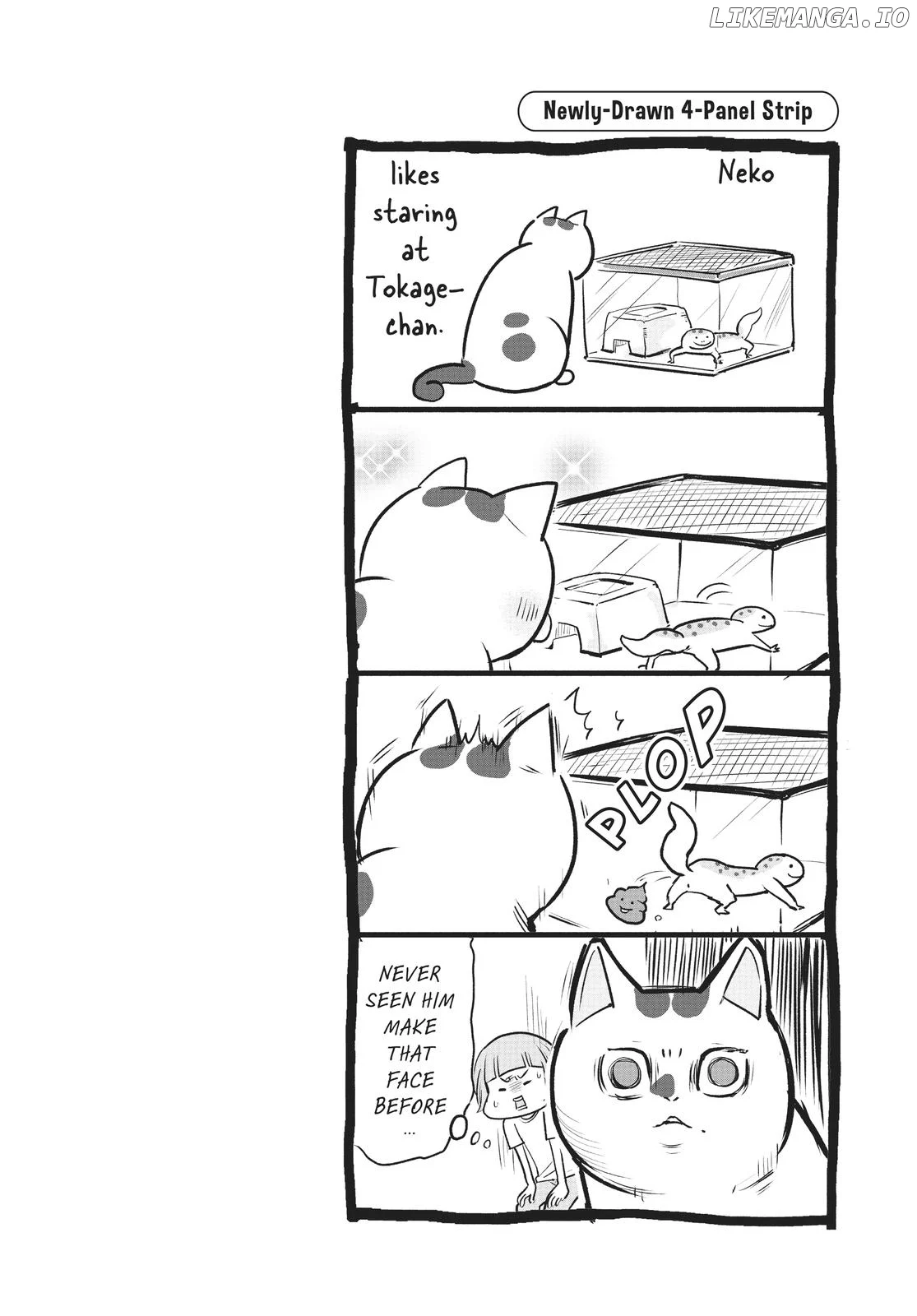 With a Dog AND a Cat, Every Day Is Fun - Chapter 3 - Page 13